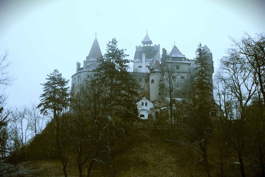 A castle surrounded by trees. 3