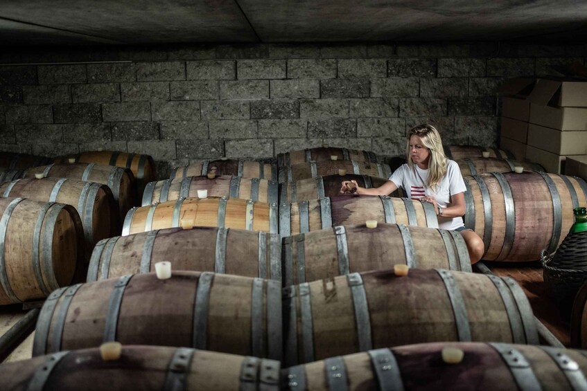 Picture 3 for Activity Rovereto: Azienda Agricola Balter - Tour plus tasting 3