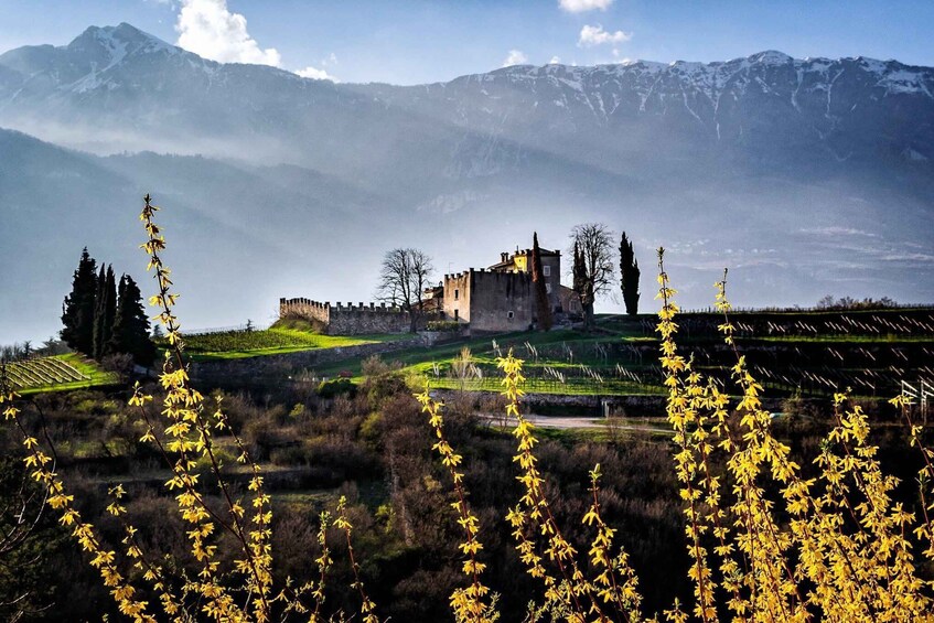 A historic castle on a hill, surrounded by mountains and fields. 1