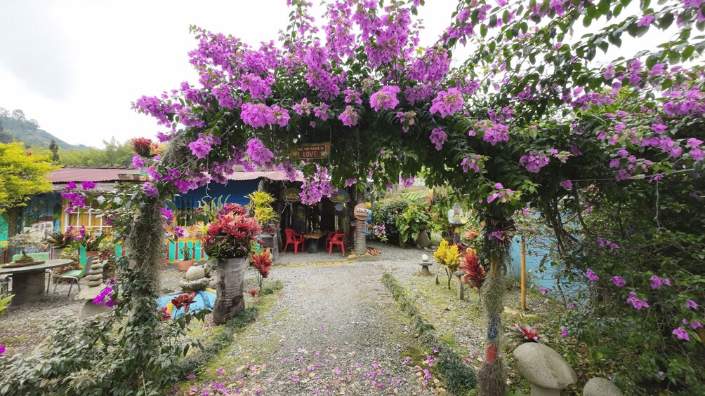 A garden with purple flowers, a blue building, and a sign that says 'All we need is LOVE.' 1