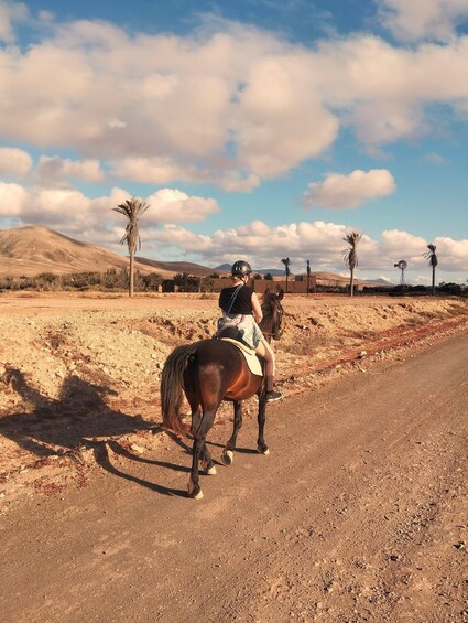 A person riding a horse on a dirt road with palm trees and a windmill in the background. 2