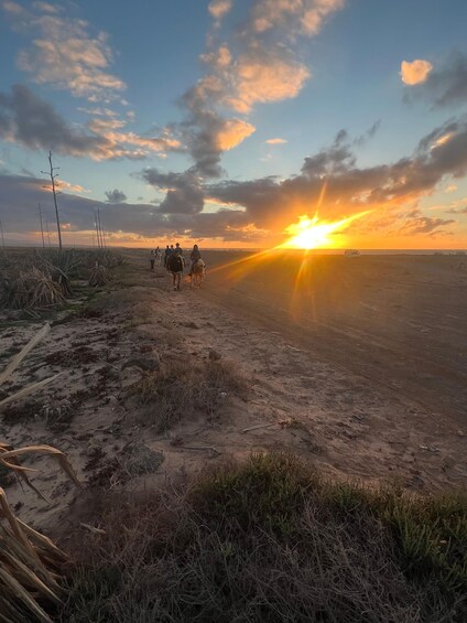 A sunset over a desert landscape with sparse vegetation and a group of people riding horses. 4