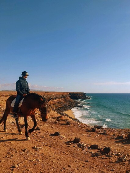 A person riding a horse along a rocky coastal path with the ocean and cliffs in the background. 5