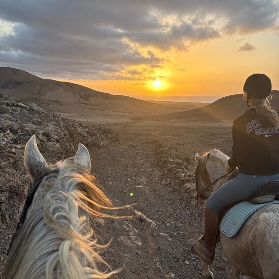 A person riding a horse on a dirt path during sunset. 3