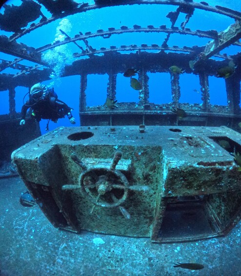 An underwater wreck with a steering wheel, surrounded by marine life. 4