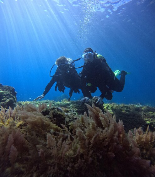 Two scuba divers underwater with sunlight filtering through the water. 5