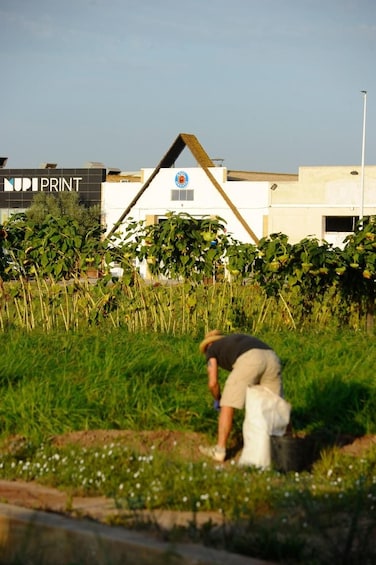 A person working in a field with a building in the background. 3