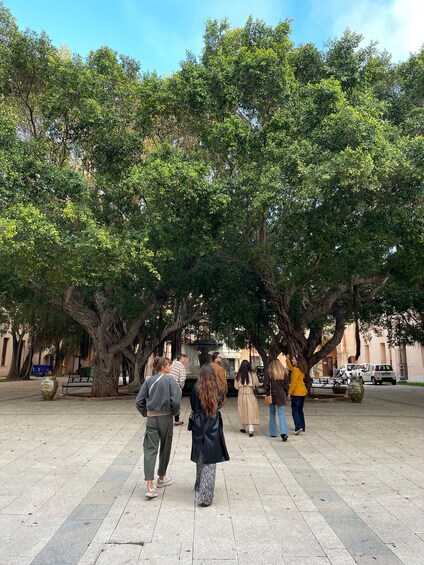 A group of people standing under large trees in a plaza with a fountain. 5
