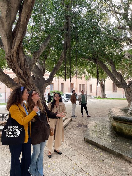 A group of people standing under a large tree in a courtyard with a fountain. 2