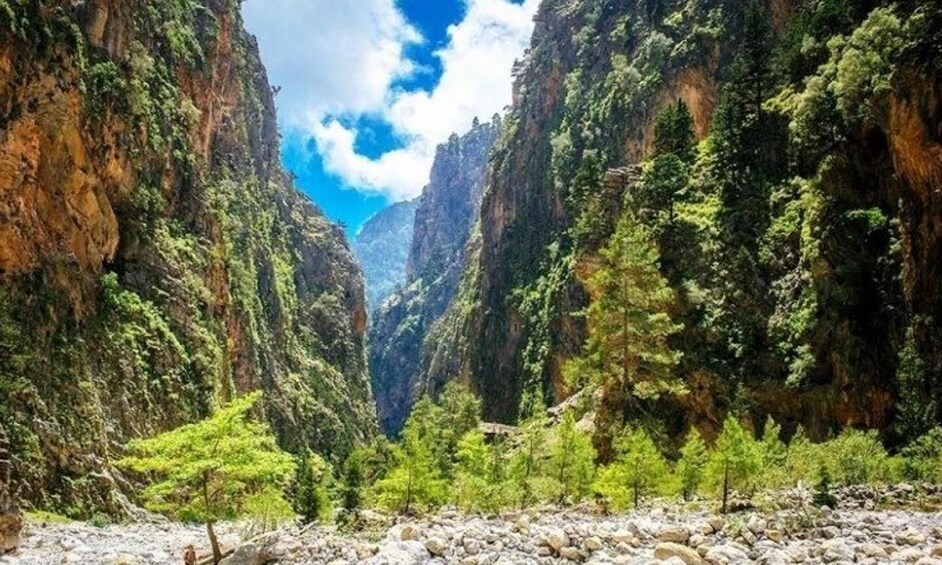A canyon with dense vegetation and a river. 1