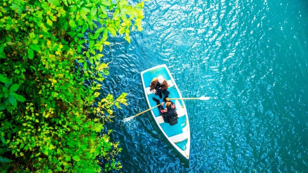 A small boat with two people rowing on a clear blue water body surrounded by lush greenery. 1