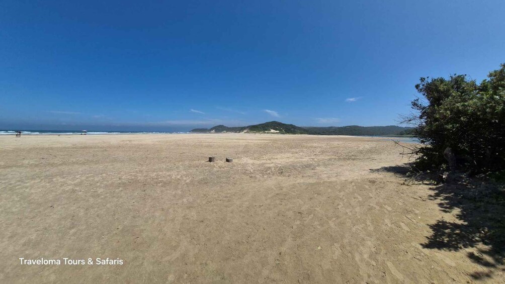 A wide sandy beach with a clear sky, distant hills, and a few scattered trees. 4