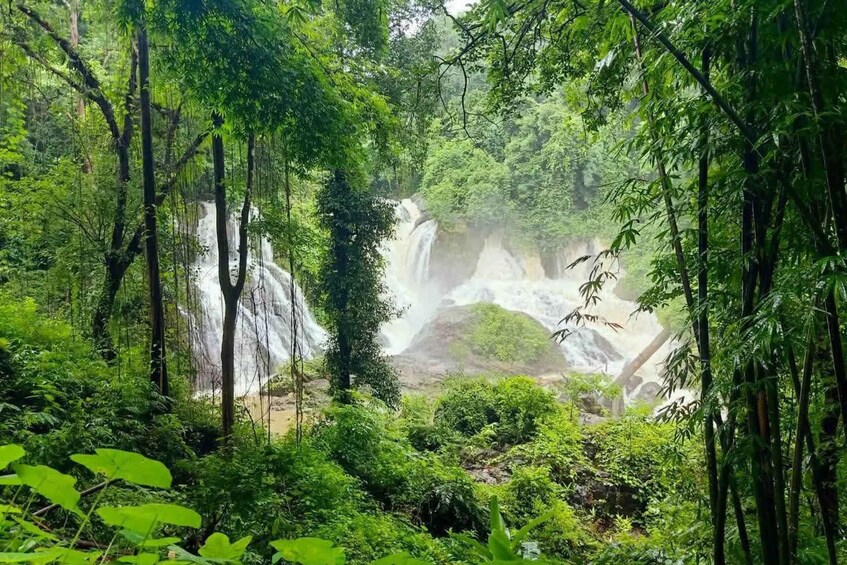 A lush forest with multiple waterfalls. 3