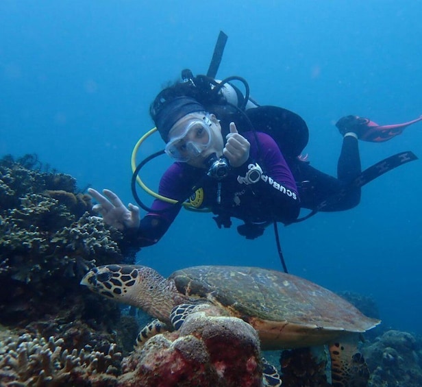 A diver in purple gear with a camera, interacting with a sea turtle near a coral reef. 1