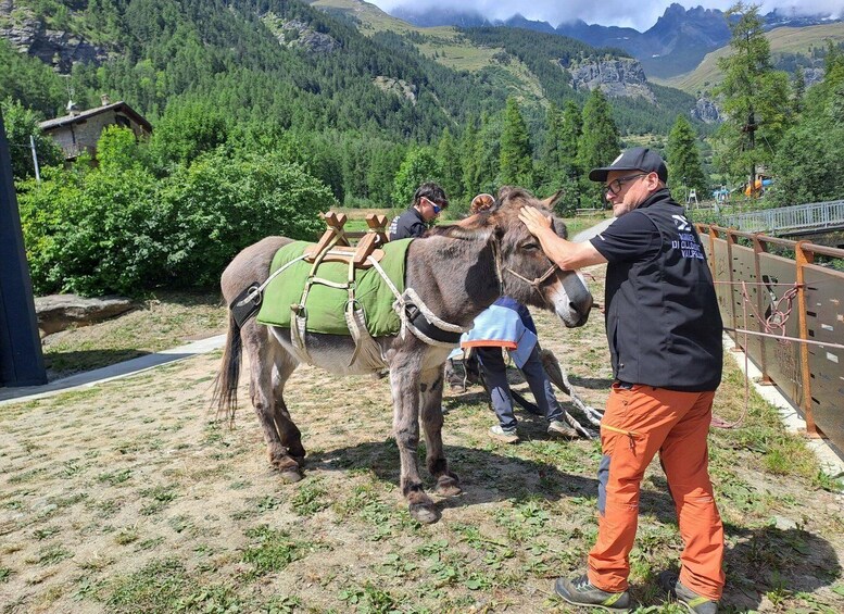 Donkey trekking to discover Valpelline 1