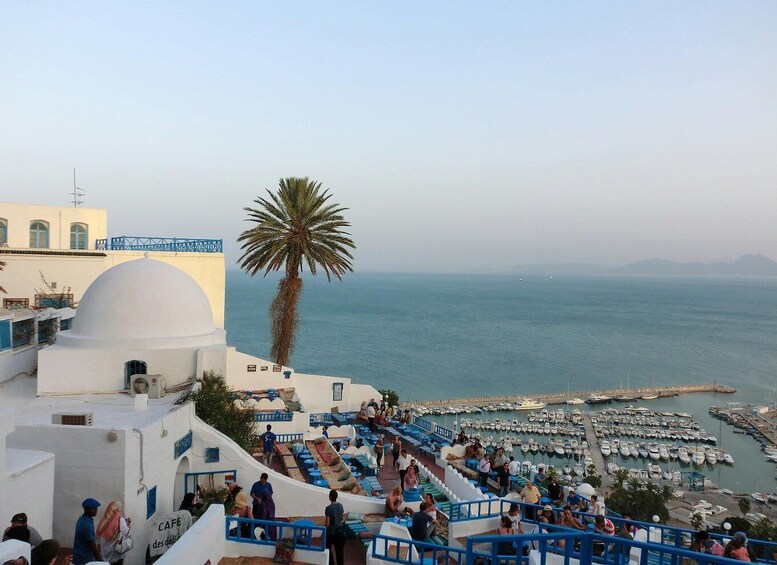 A coastal town with a white building, a palm tree, and a marina filled with boats. 4