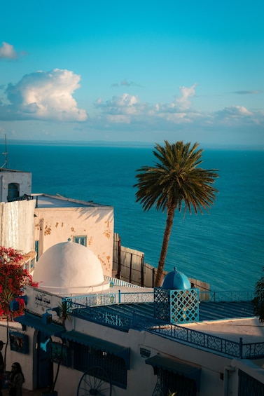 A coastal building with a palm tree, a dome, and the sea in the background. 2