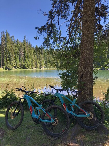 Two mountain bikes parked by a lake surrounded by trees. 1