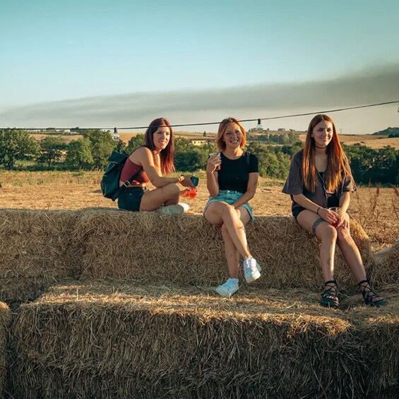 Picture 2 for Activity Tuscany: Aperitif with Horses 3