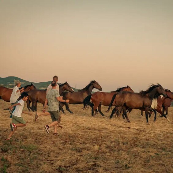 Tuscany: Aperitif with Horses 1