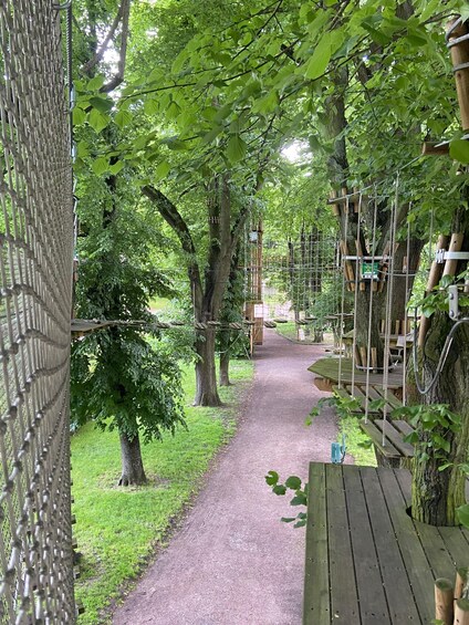 A forested path with a rope bridge and picnic tables. 1