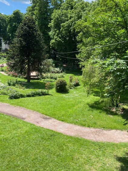 A lush garden with a variety of trees and shrubs, a clear path, and a well-maintained lawn. 5
