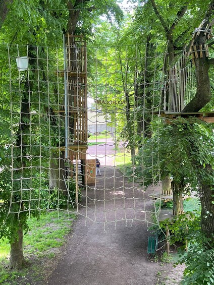 A rope bridge over a dirt path in a wooded area with trees and a wooden structure in the background. 2