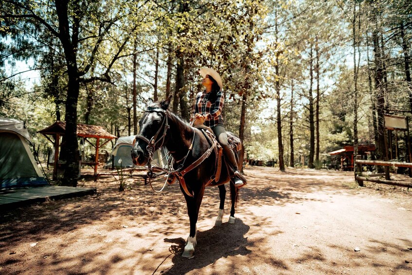 A person riding a horse in a wooded area with a tent and a wooden structure in the background. 1