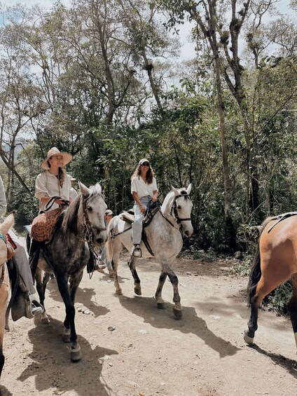 A group of people riding horses on a dirt path surrounded by trees. 2