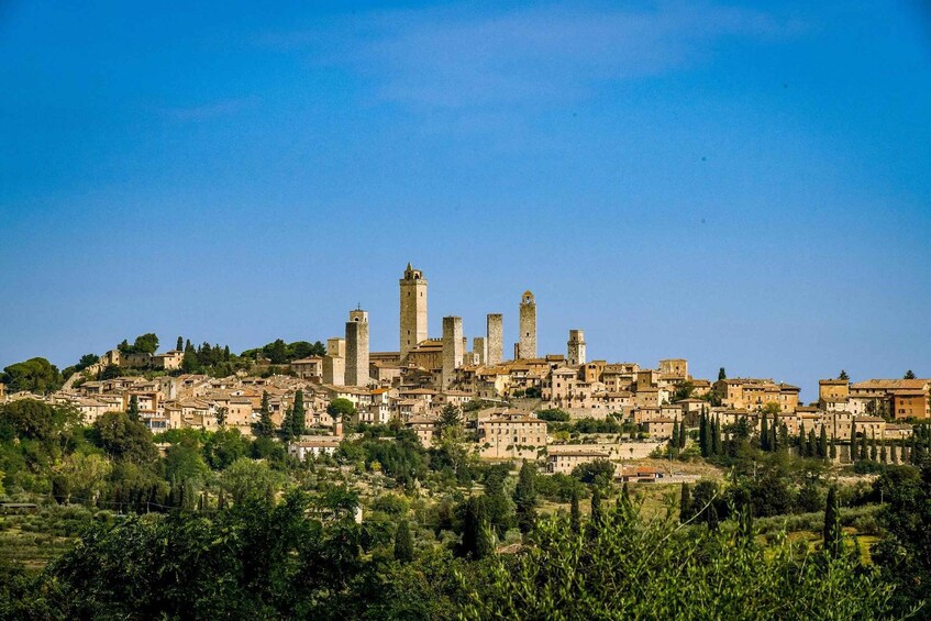 A historic town with medieval towers and dense greenery. 4