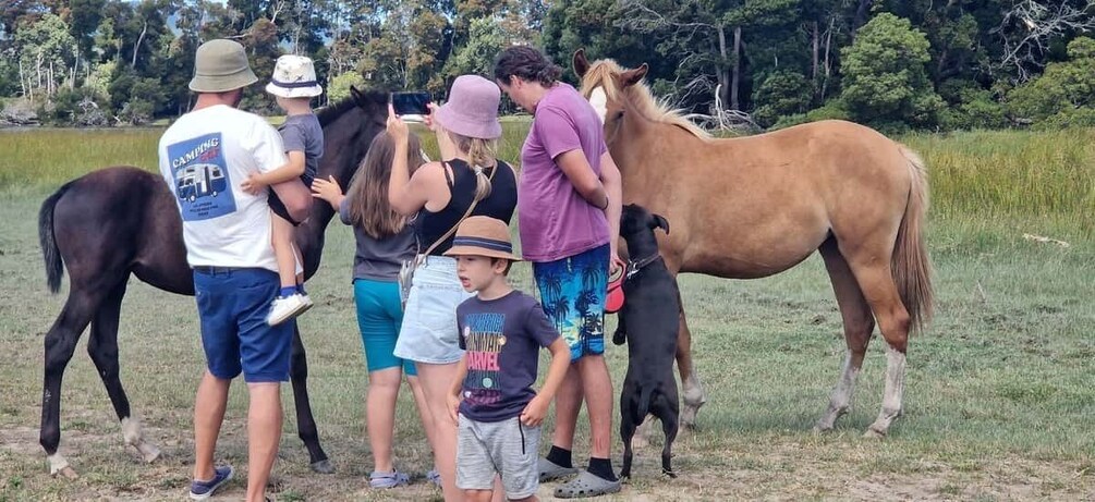 A group of people with horses in a grassy field. 2