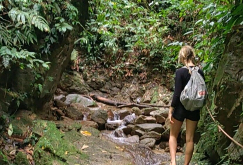 A person hiking through a forested area with a stream and rocks. 3