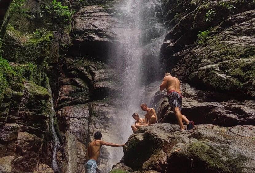 A waterfall cascading down a rocky cliff surrounded by lush greenery. 1