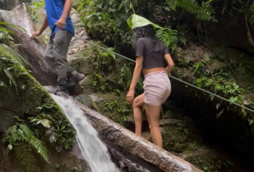 Two people crossing a log over a waterfall in a forested area. 2