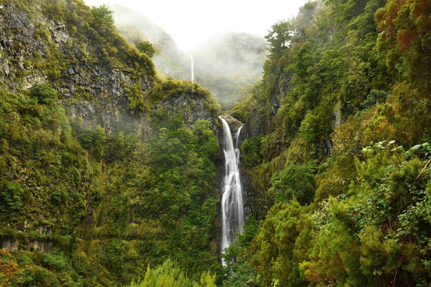 A waterfall cascading down a lush, green valley surrounded by dense forest. 1