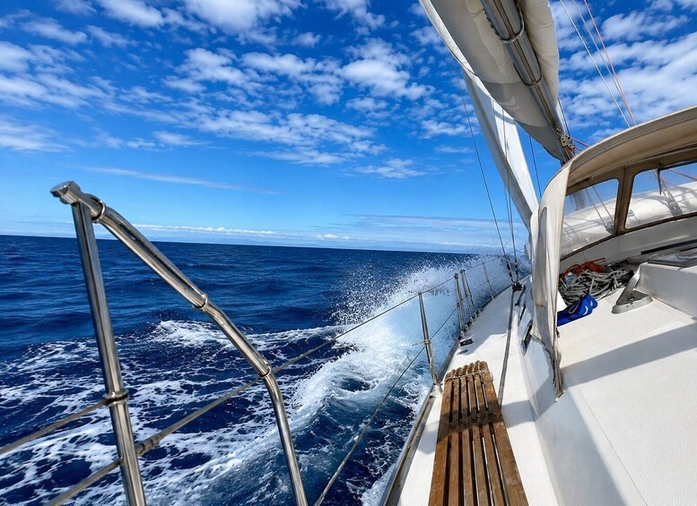 Picture 5 for Activity Pula: Private Boat Tour with Tapas, Drinks and Swim Stops 5