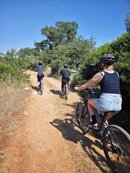 Picture 5 for Activity Ostuni: Centuries-old olive trees and a hypogeous olive press by bike 2
