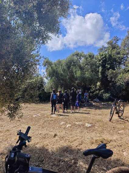 A group of people walking in a dry, grassy area with trees and a clear sky. 1