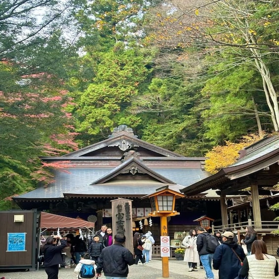 A traditional Japanese building with a wooden structure and a pagoda-style roof, surrounded by lush greenery and autumn-colored trees. 3