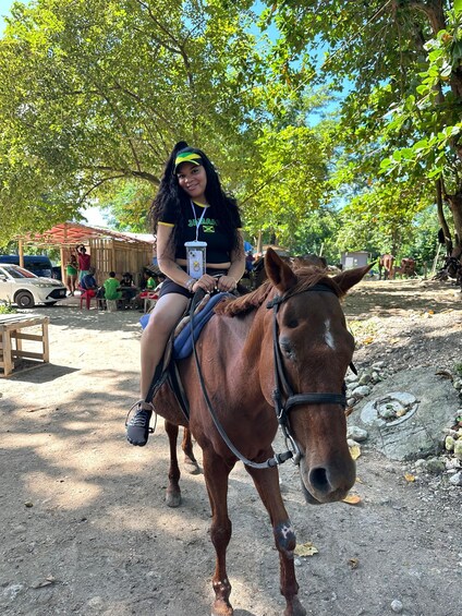 A person riding a brown horse in a rural setting with trees and a wooden structure in the background. 2