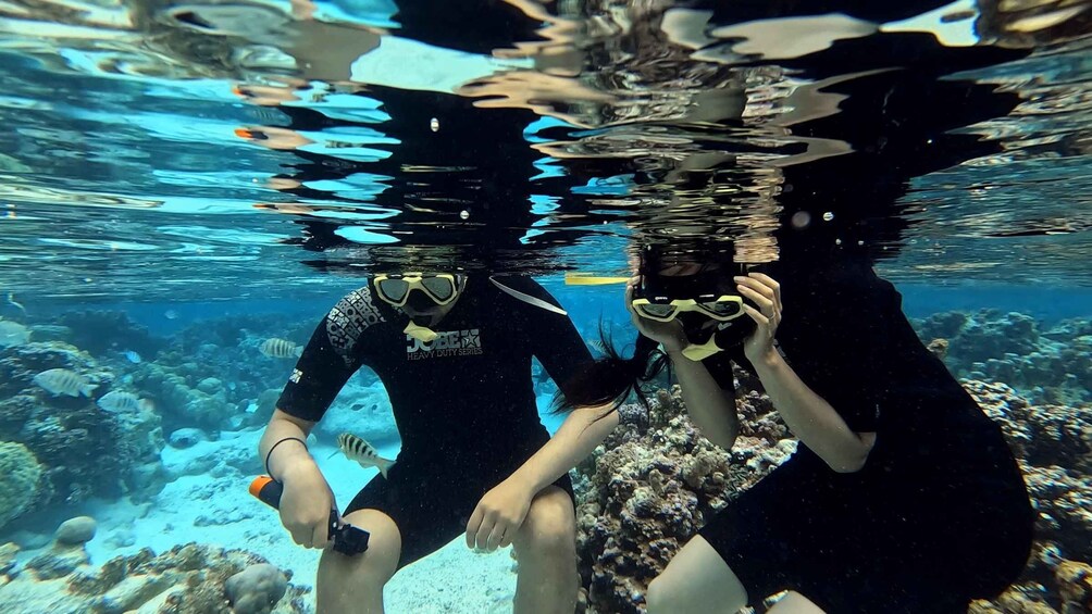 Two people snorkeling underwater with coral reefs and fish in the background. 1