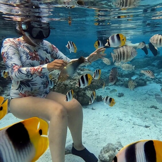 A person interacting with fish in an underwater environment. 2