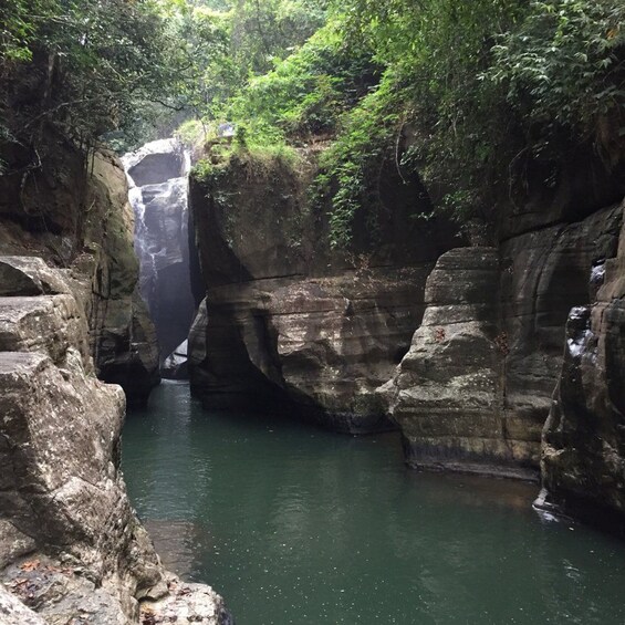 A narrow canyon with a waterfall and dense foliage. 2