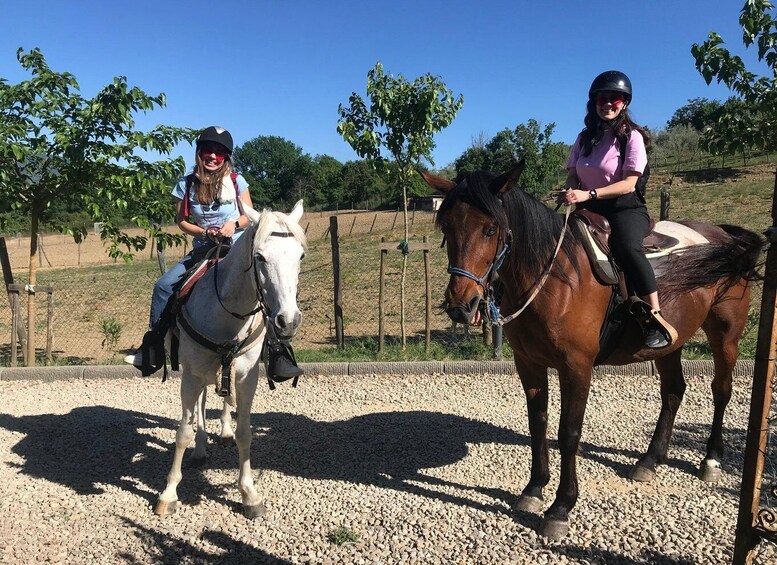 Two people riding horses in an outdoor area with a fence and trees in the background. 3