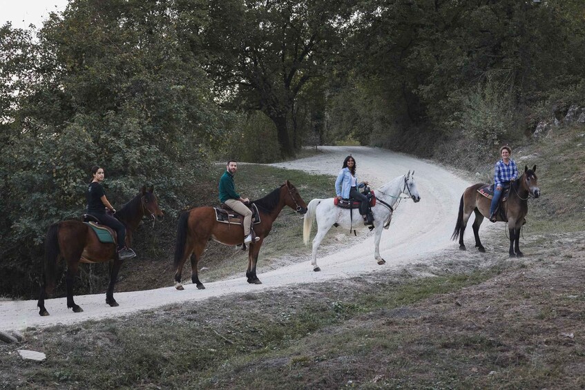 Four people riding horses on a dirt path surrounded by trees. 1