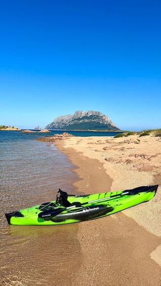 A green kayak on a sandy beach with a clear blue sky and a mountain in the background. 3