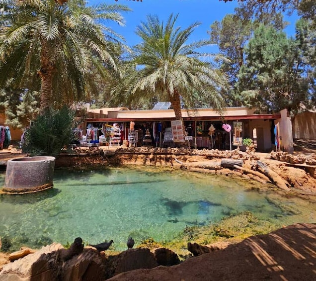A clear pool surrounded by rocks, palm trees, and a building with a signboard. 1