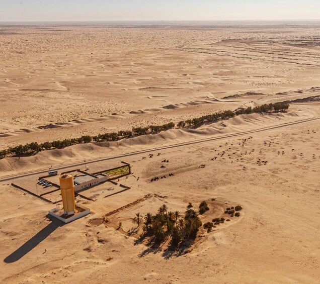 A desert landscape with a large industrial facility, palm trees, and a road. 5