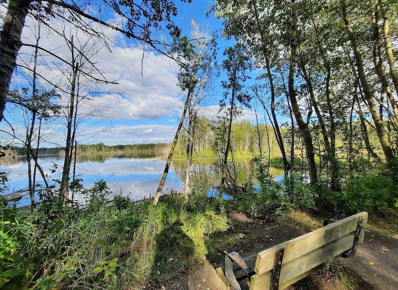 A serene lakeside scene with a wooden bench, surrounded by trees and reflecting the sky. 4