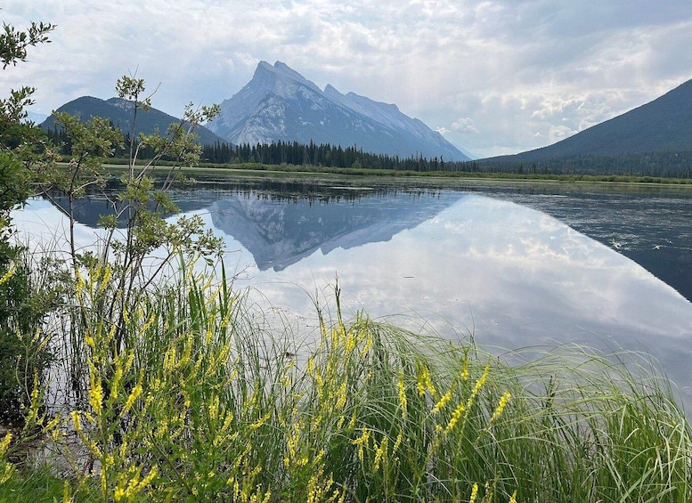 A mountain range reflected in a calm lake with foreground vegetation. 2